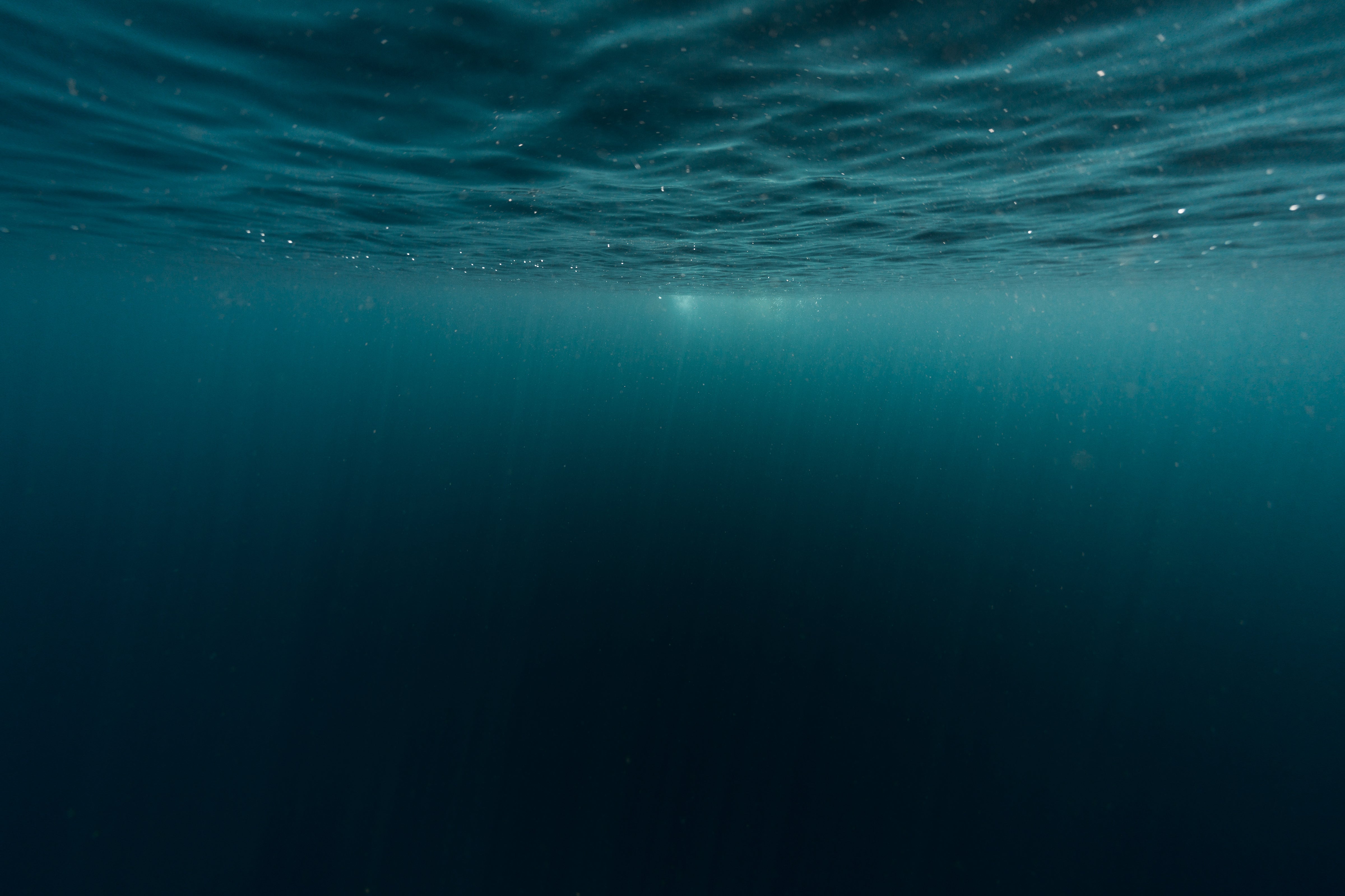 BPS Marine and CWR Wholesale Distribution Announce Strategic Partnership